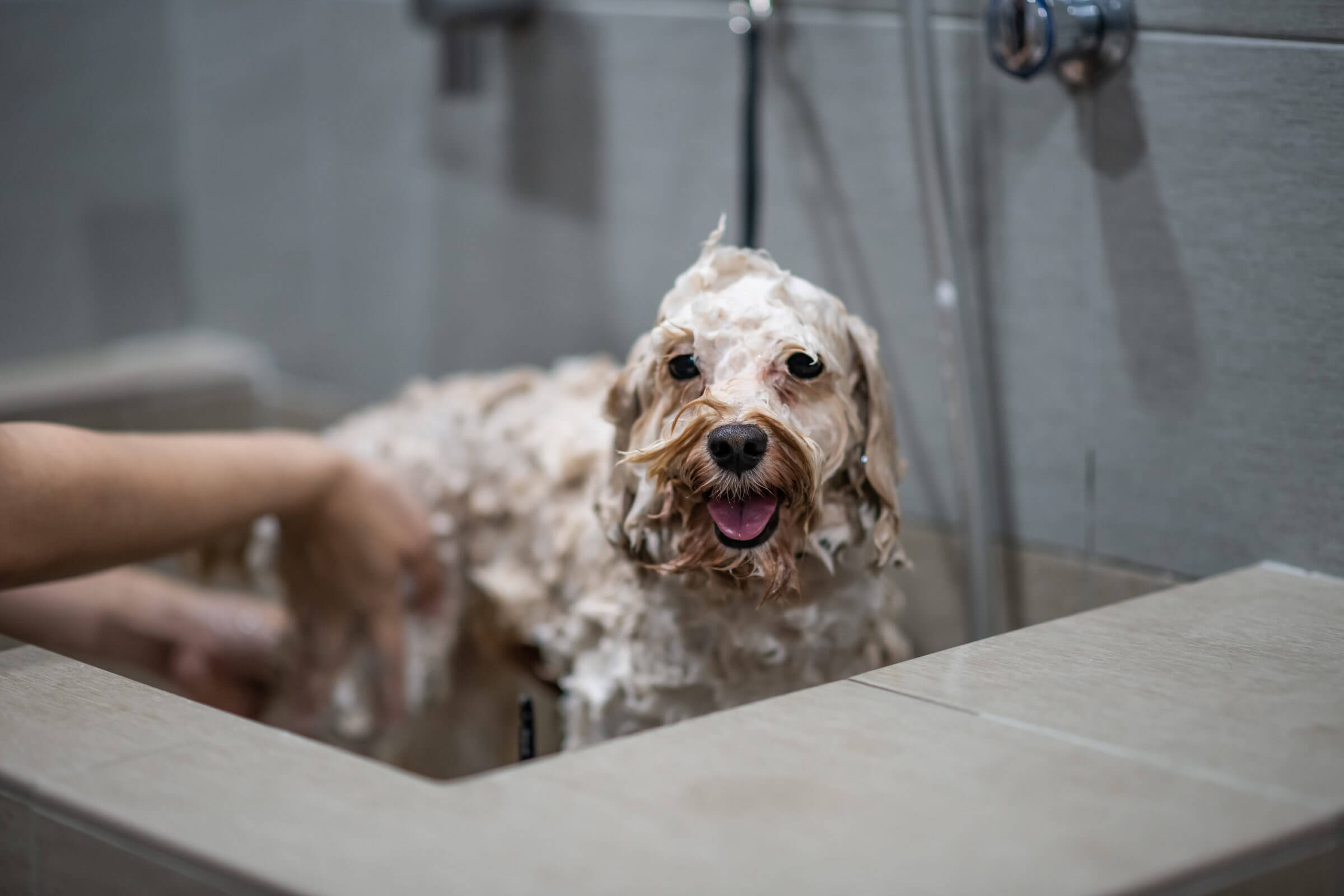 Ceramic tile for dog showers and pet washing stations