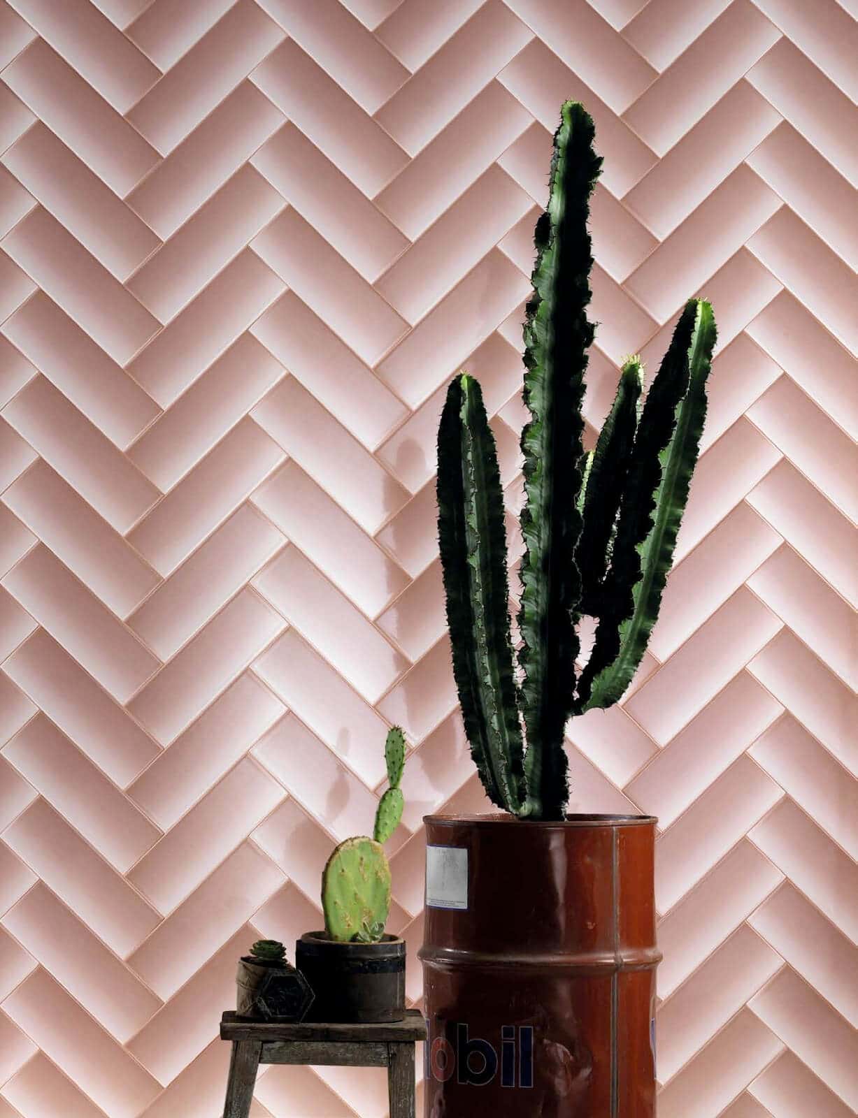 Cactus in from of blush pink herringbone tiles 