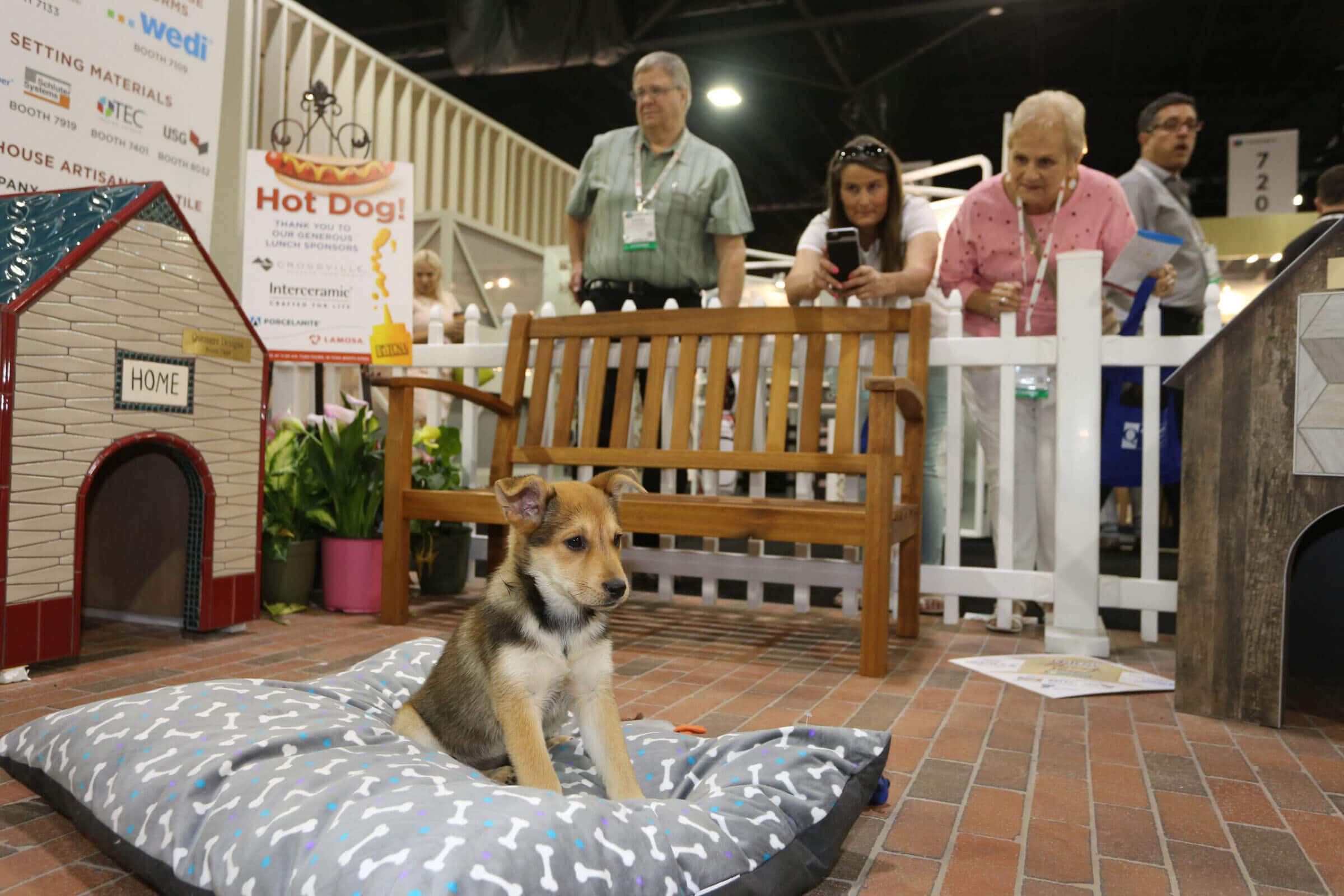 A few Coverings attendees admiring a small puppy on a pillow next to a tile-decorated doghouse.